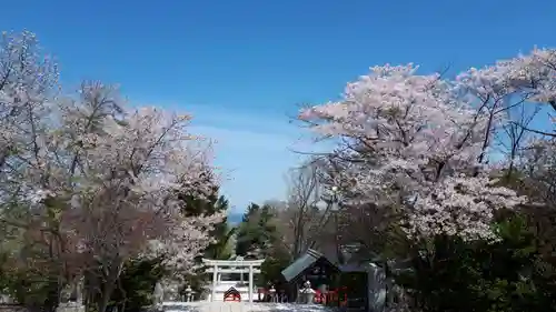 住吉神社の自然