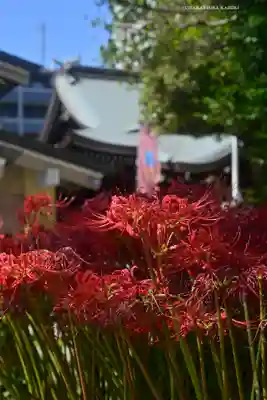 磐井神社(東京都)