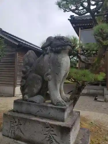 熊野神社の狛犬