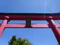 白笹稲荷神社の鳥居