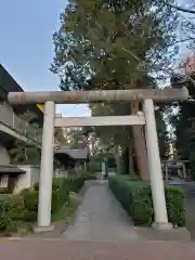 中野氷川神社の鳥居