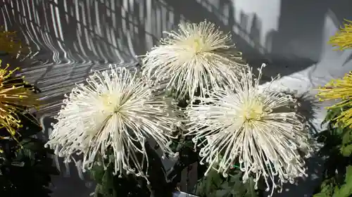 鹿島神宮(茨城県)