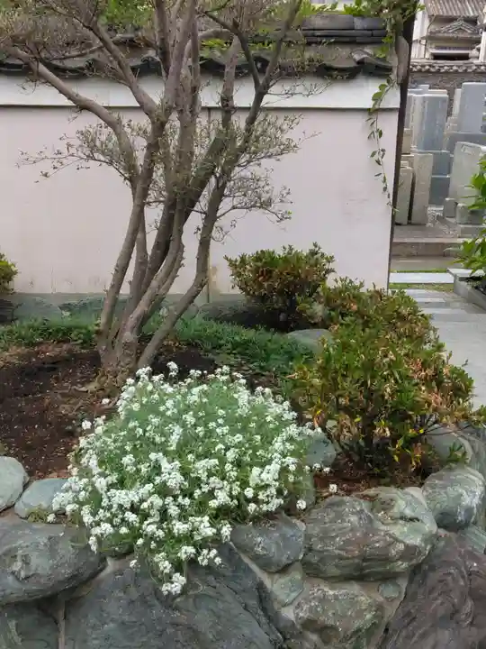 浄國寺(浄国寺)の自然