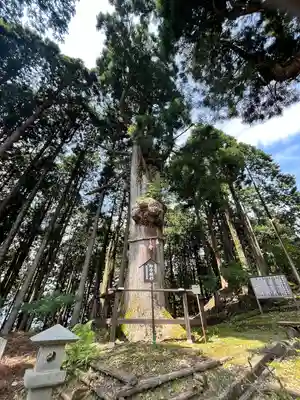 身延山奥之院思親閣(山梨県)