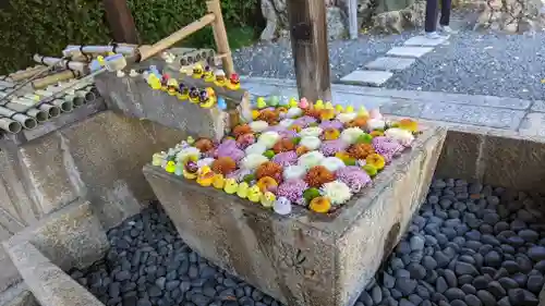 くろ谷 金戒光明寺(京都府)