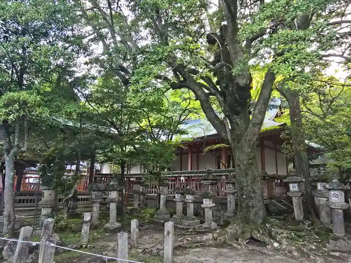 手向山八幡宮(奈良県)