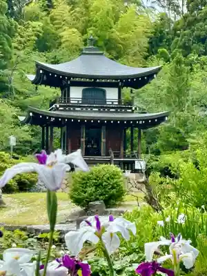 勧修寺(京都府)