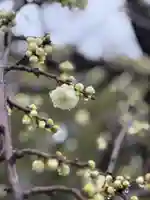 伊勢の国 四天王寺(三重県)