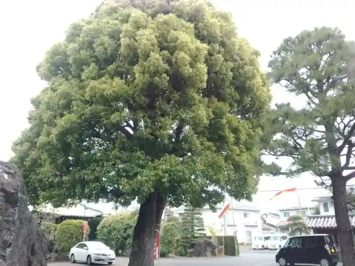 長安寺(神奈川県)