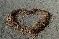 來宮神社のその他建物