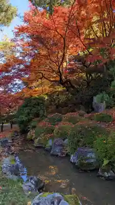 青蓮院門跡(京都府)