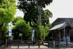 春日神社(岐阜県)