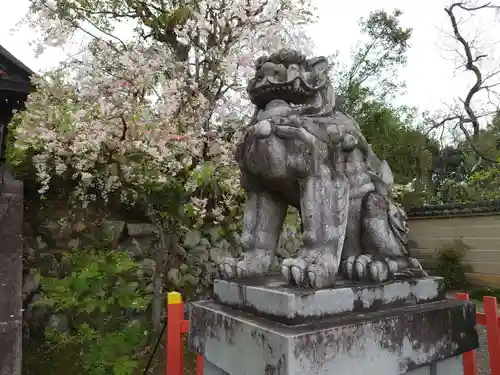 建勲神社の狛犬