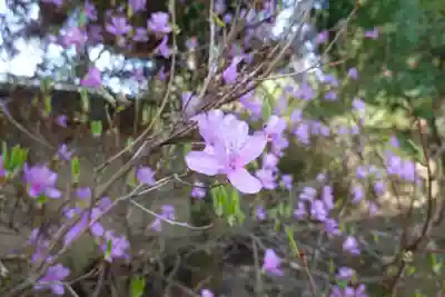 海龍王寺(奈良県)