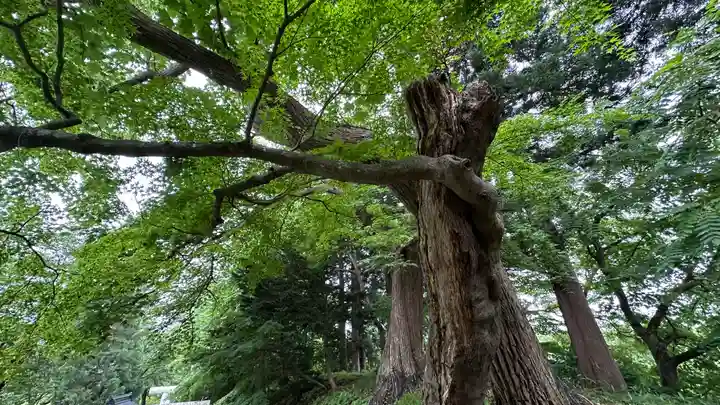 天満神社(山形県)