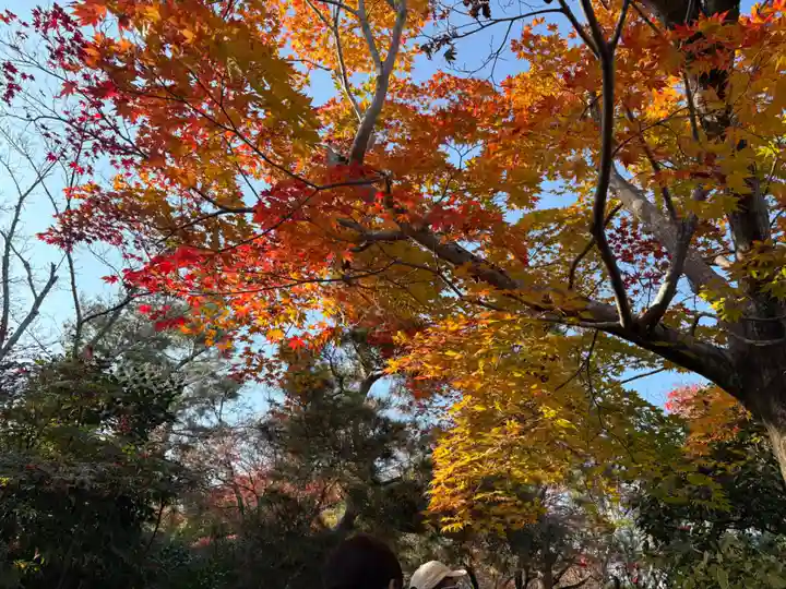天龍寺(京都府)