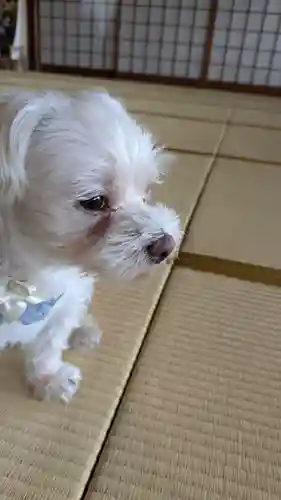 本昌寺(京都府)