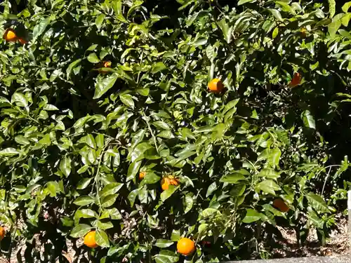 久能山東照宮(静岡県)