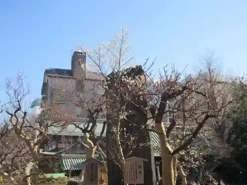 湯島天満宮(東京都)