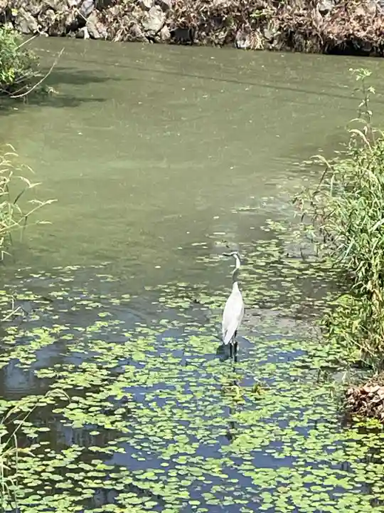 石清尾八幡宮(香川県)