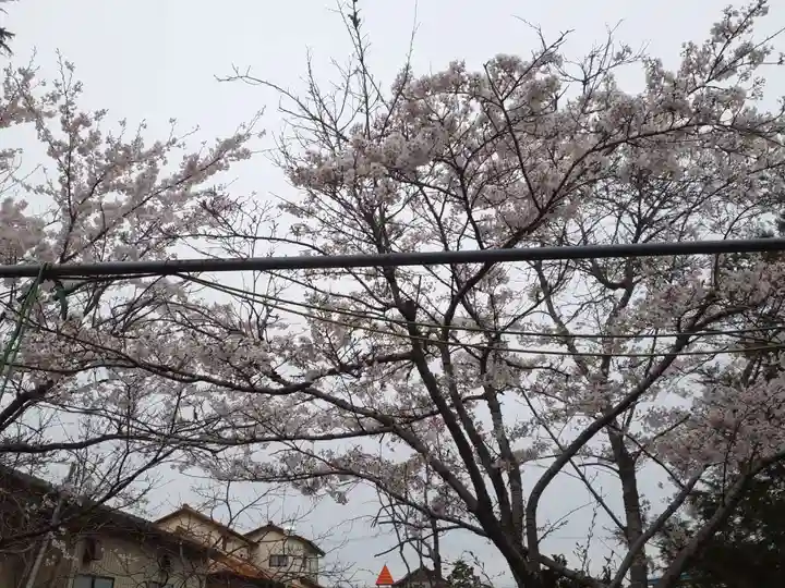 赤井八幡神社(宮城県)