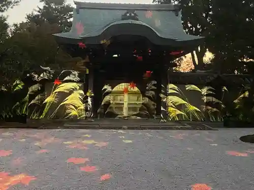 高台寺（高台寿聖禅寺・高臺寺）(京都府)