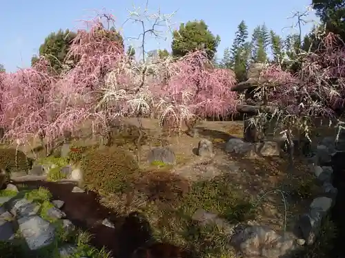 城南宮の庭園