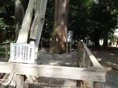 渭伊神社(静岡県)