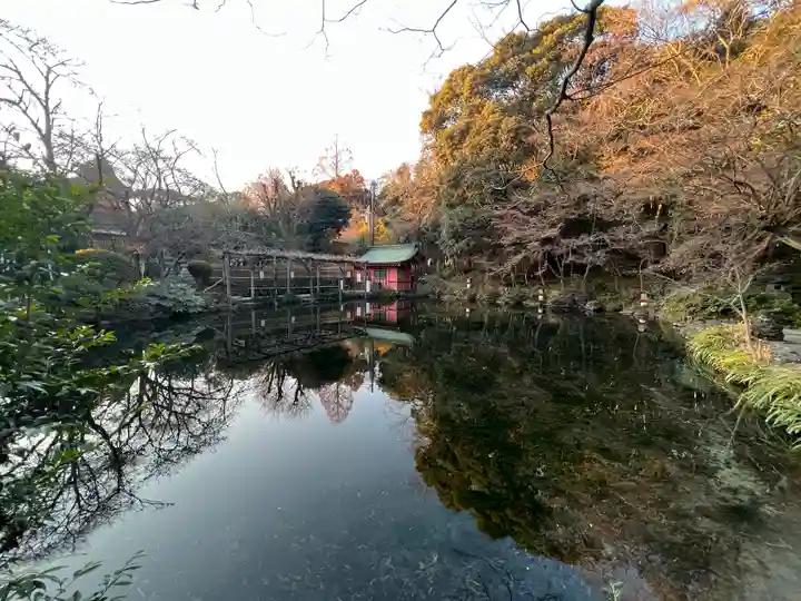富士山本宮浅間大社(静岡県)