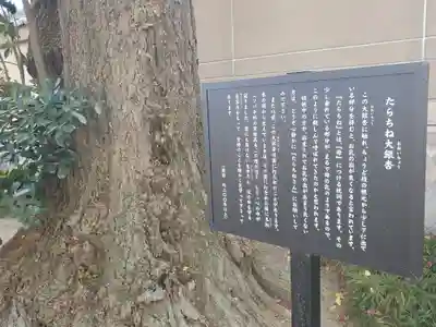 地福院(法光寺)のその他建物