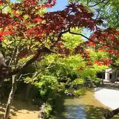 温泉神社～磐梯熱海温泉～の庭園