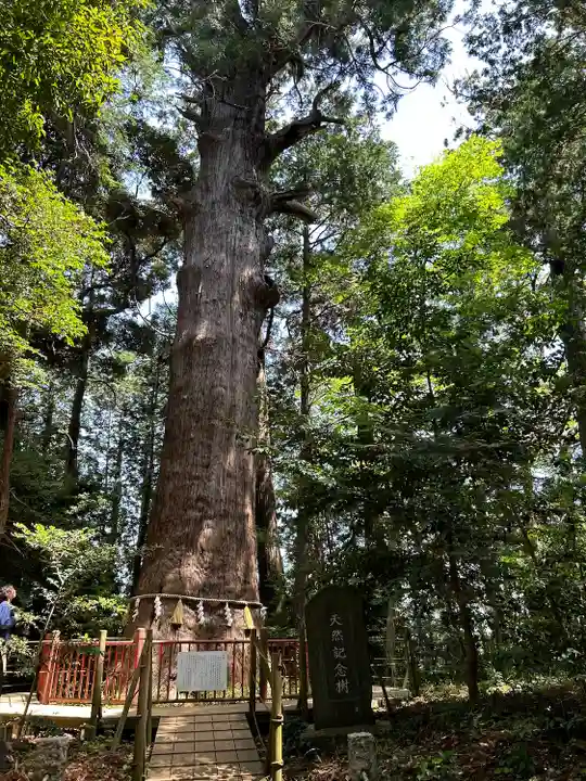 麻賀多神社(千葉県)