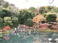 天龍寺の庭園