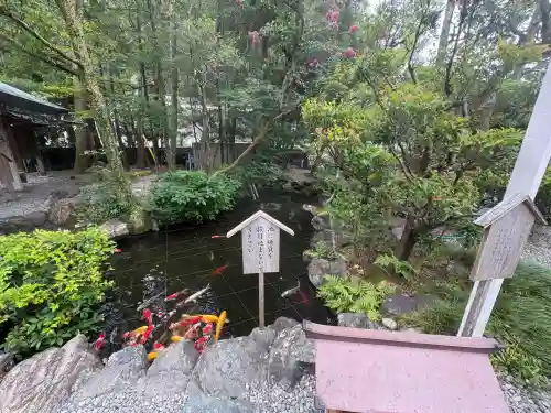 猿田彦神社(三重県)