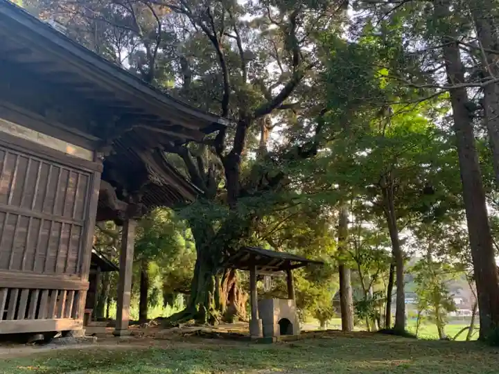 面足神社(千葉県)