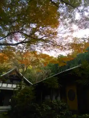 瑞泉寺の本殿・本堂