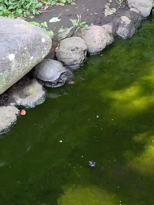 江島神社(神奈川県)