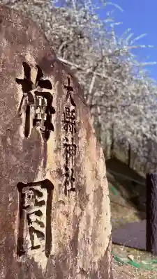 大縣神社の{uncategorized: "未分類", other: "その他", undefined: "問題あり", building: "その他建物", grave: "お墓", sacred_gate: "鳥居", guardian: "狛犬", statue: "像", buddha: "仏像", history: "歴史", nature: "自然", garden: "庭園", animal: "動物", pagoda: "塔", temizu: "手水舎", mountain_gate: "山門・神門", sanctuary: "本殿・本堂", subordinate: "末社・摂社", art: "芸術", scenery: "景色", jizo: "地蔵", ema: "絵馬", goshuin: "御朱印", omikuji: "おみくじ", items: "授与品その他", amulet: "お守り", goshuincho: "御朱印帳", eats: "食事", festival: "お祭り", votive_dance: "神楽", shichigosan: "七五三参", wedding: "結婚式", experience: "体験その他", initially: "初詣", around: "周辺", anti_infection: "感染症対策"}