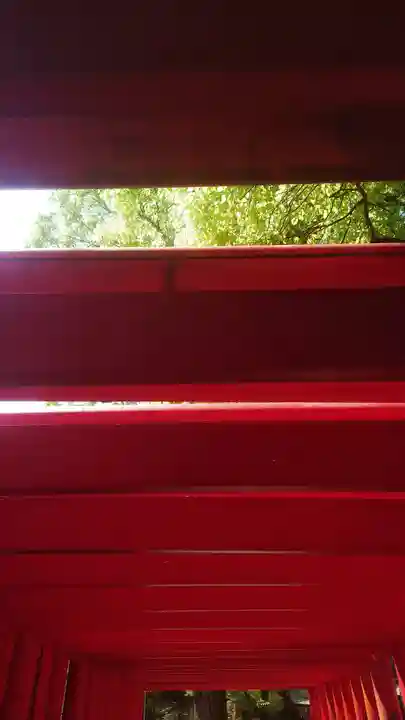 津島神社の鳥居