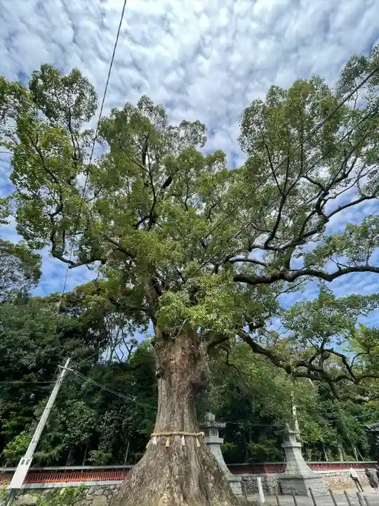 薦神社の自然