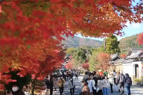 天龍寺(京都府)