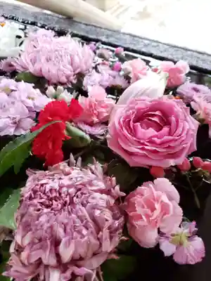 鳩森八幡神社の手水舎