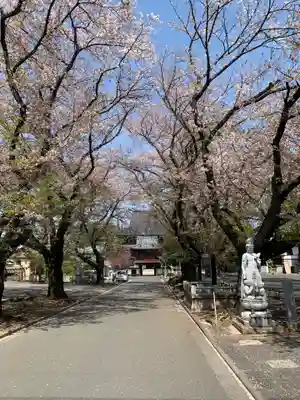 大應寺(埼玉県)