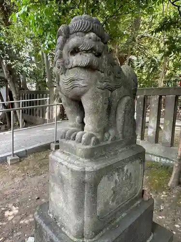 富岡八幡宮の狛犬