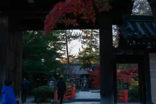 今宮神社(京都府)
