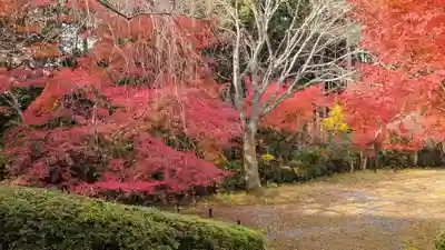 常照寺(京都府)