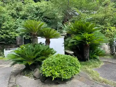洲崎神社(千葉県)