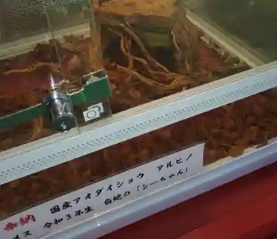 蛇窪神社(東京都)