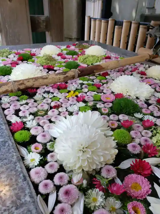 高円寺氷川神社(東京都)