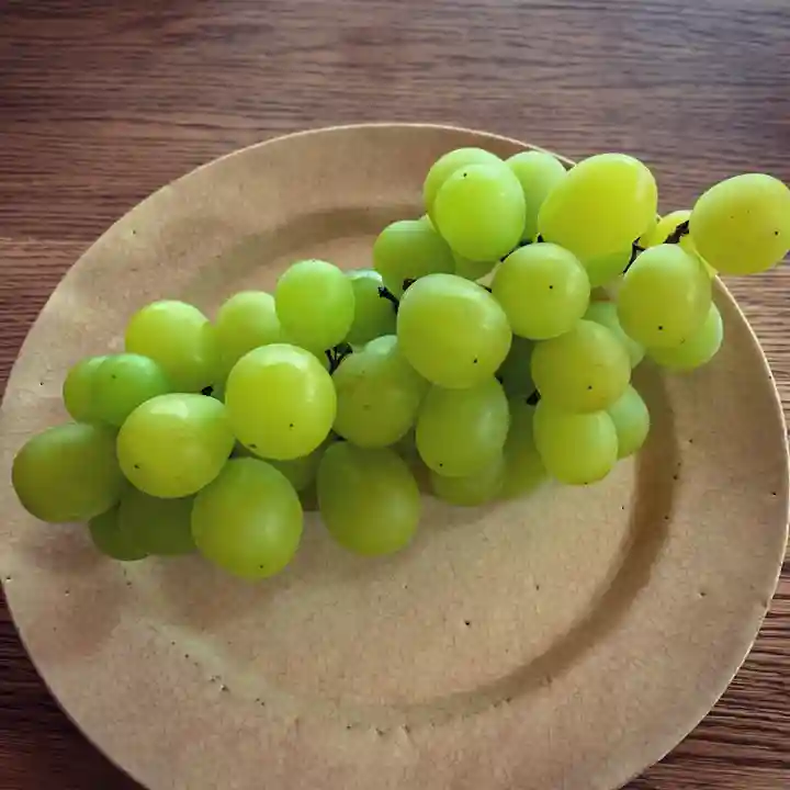 滑川神社 - 仕事と子どもの守り神の食事